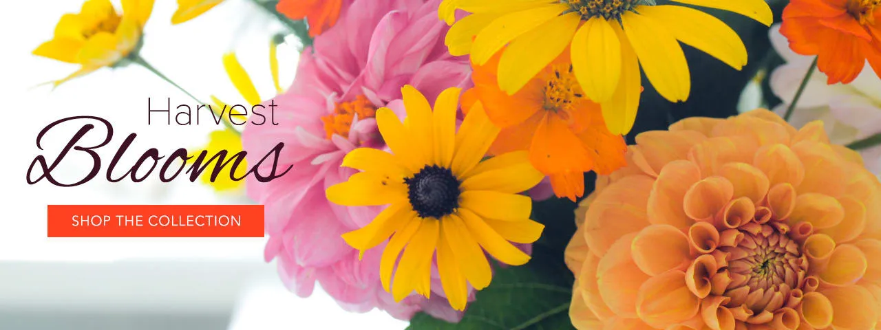 602Flowers