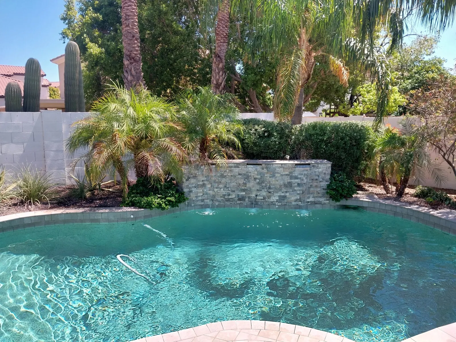 pool service near you in Phoenix az!