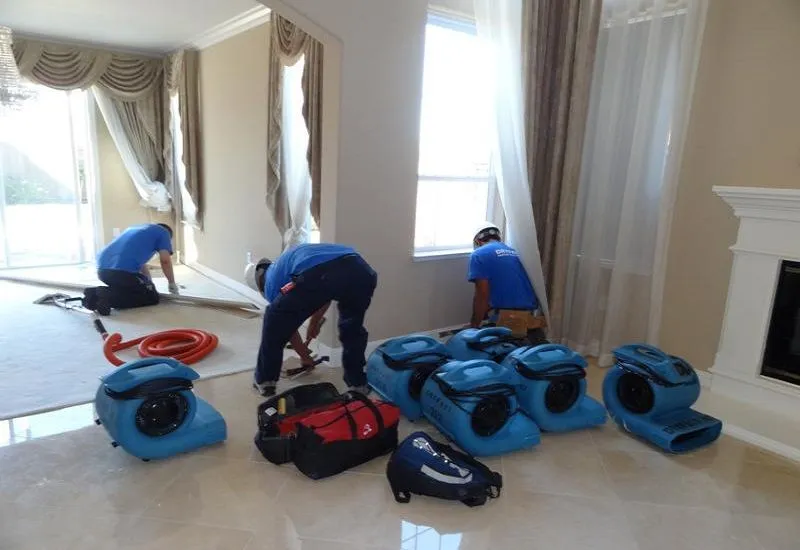 Phoenix Water Damage