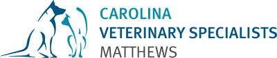Carolina Veterinary Specialists logo