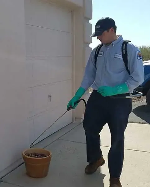 Essential Pest Control