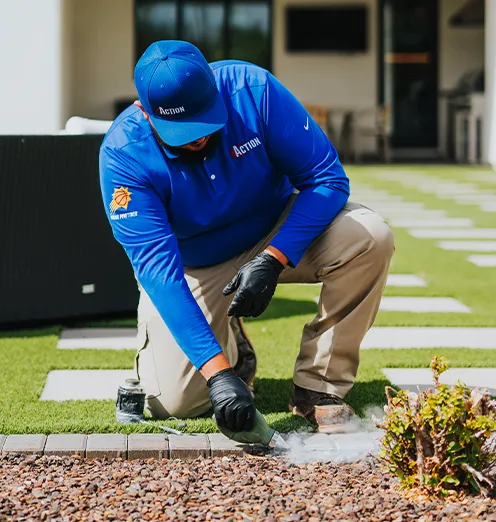 ACTION Termite & Pest Control