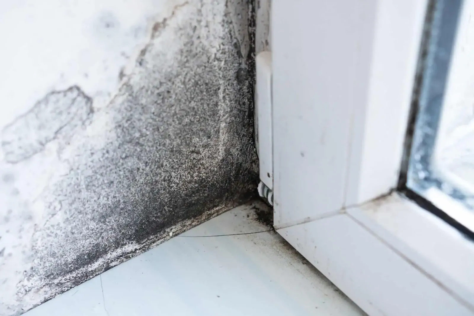 West Essex Waterproofing