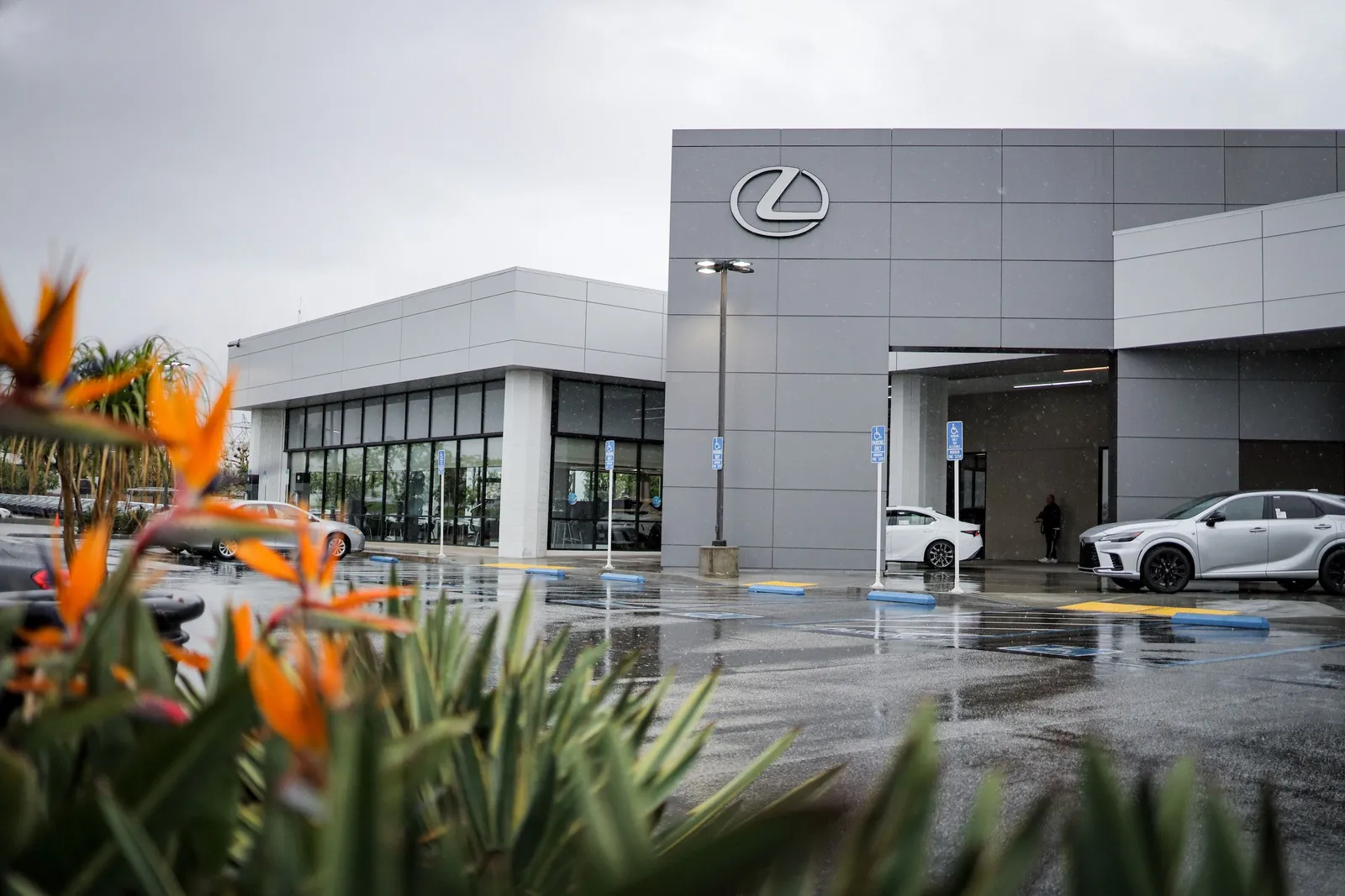 Lexus of Birmingham