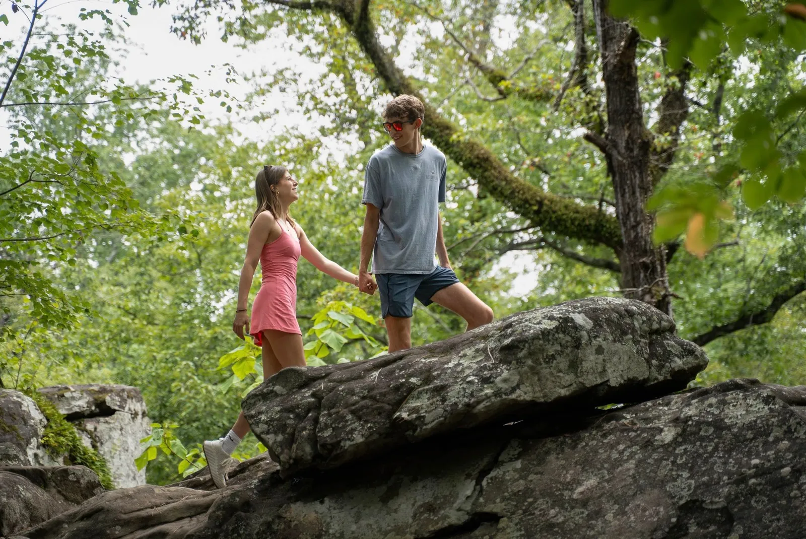 The Preserve