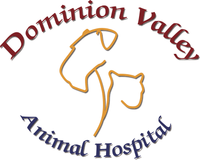 Dominion Valley Animal Hospital logo