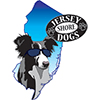Jersey Shore Dogs logo