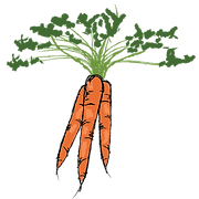 Local Roots Wooster logo