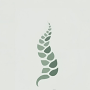 Beshel Chiropractic logo