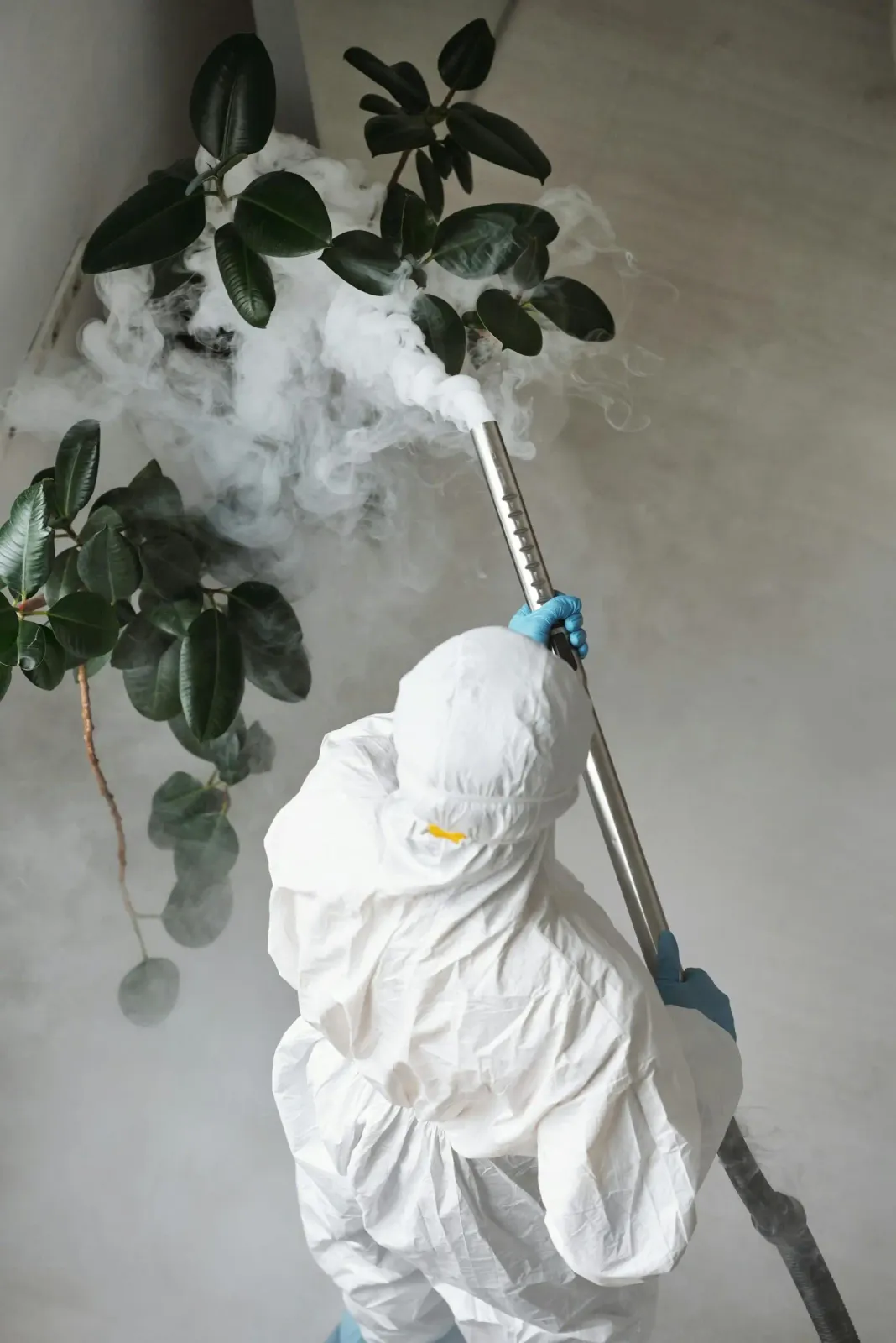 Jersey City Exterminators