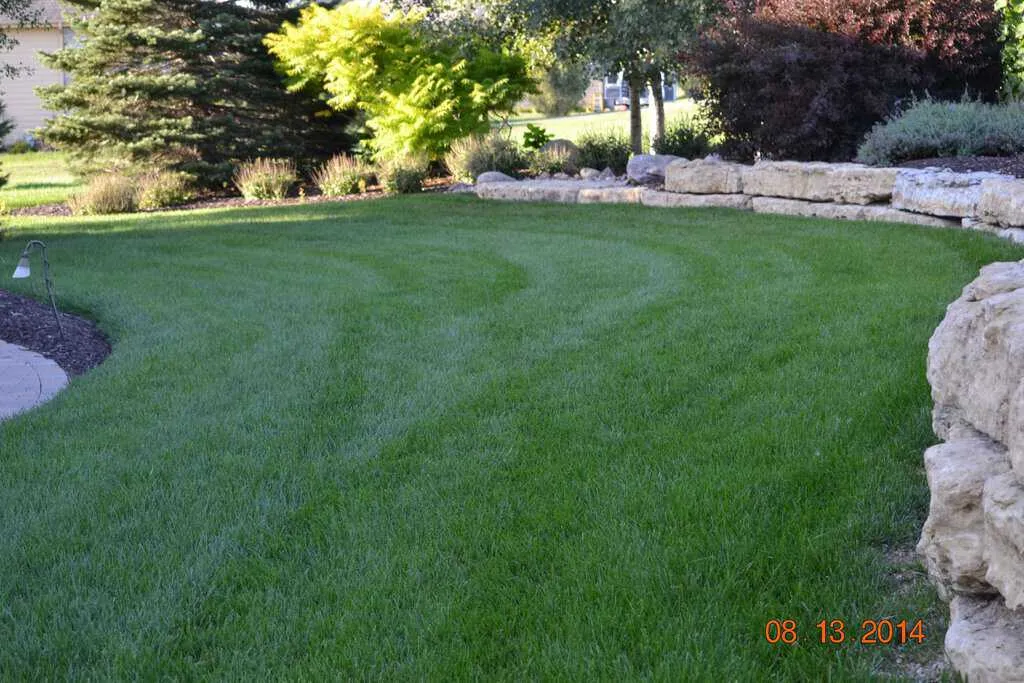 SunCo Lawns