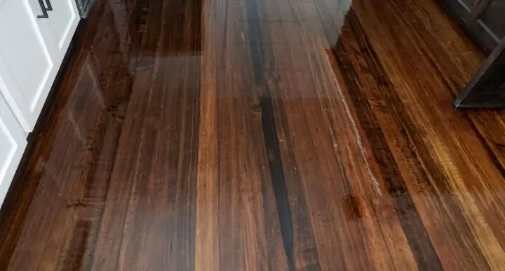Carter Kelly Floors
