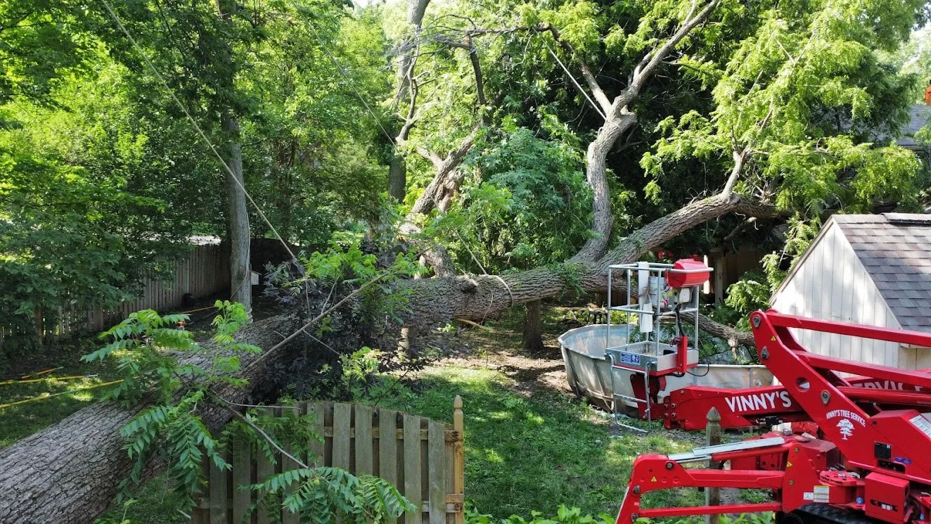 Vinnys Tree Service