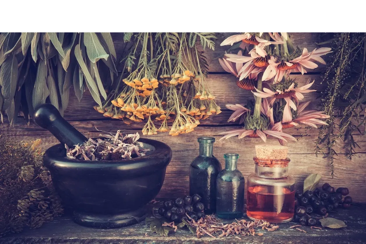 BrewMoon ApotheCoffee & CuriosiTeas