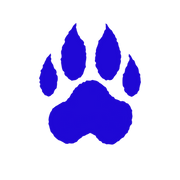 Blue Cat Construction logo