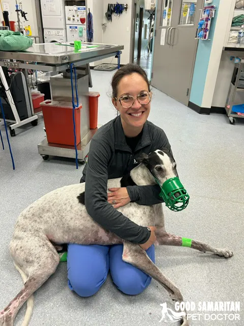 Good Samaritan Pet Doctor