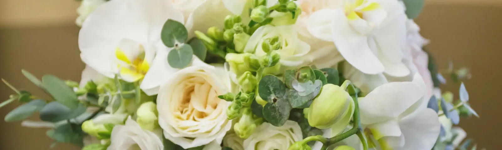 Taylor's Flower Shop