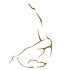 Teague Classical Pilates logo