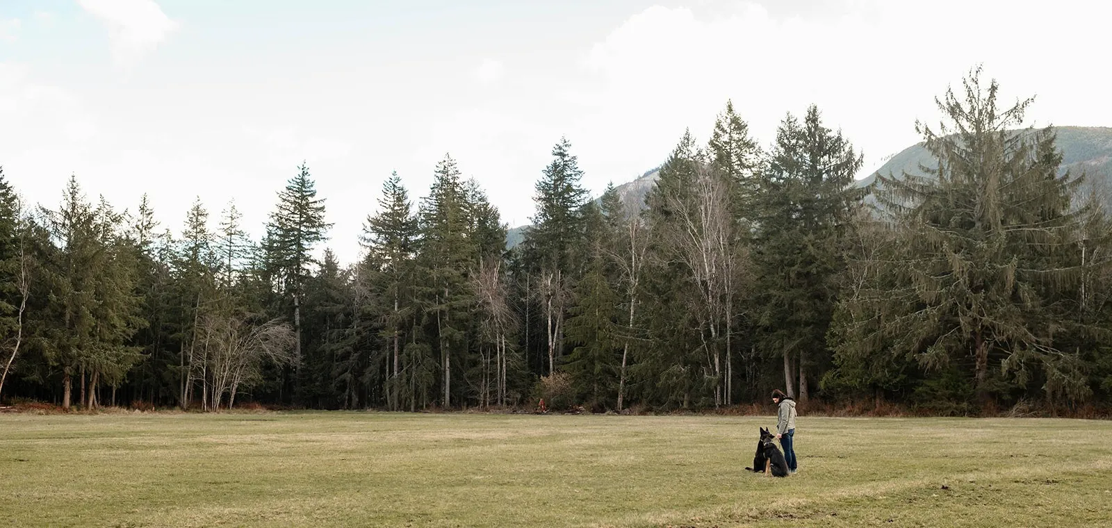 Skagit Canine Club
