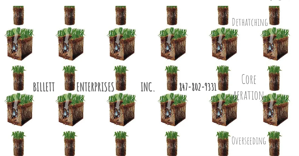 Billett Enterprises Inc.