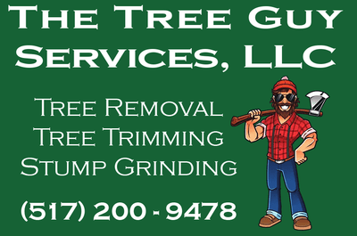 The Tree Guy Services LLC logo