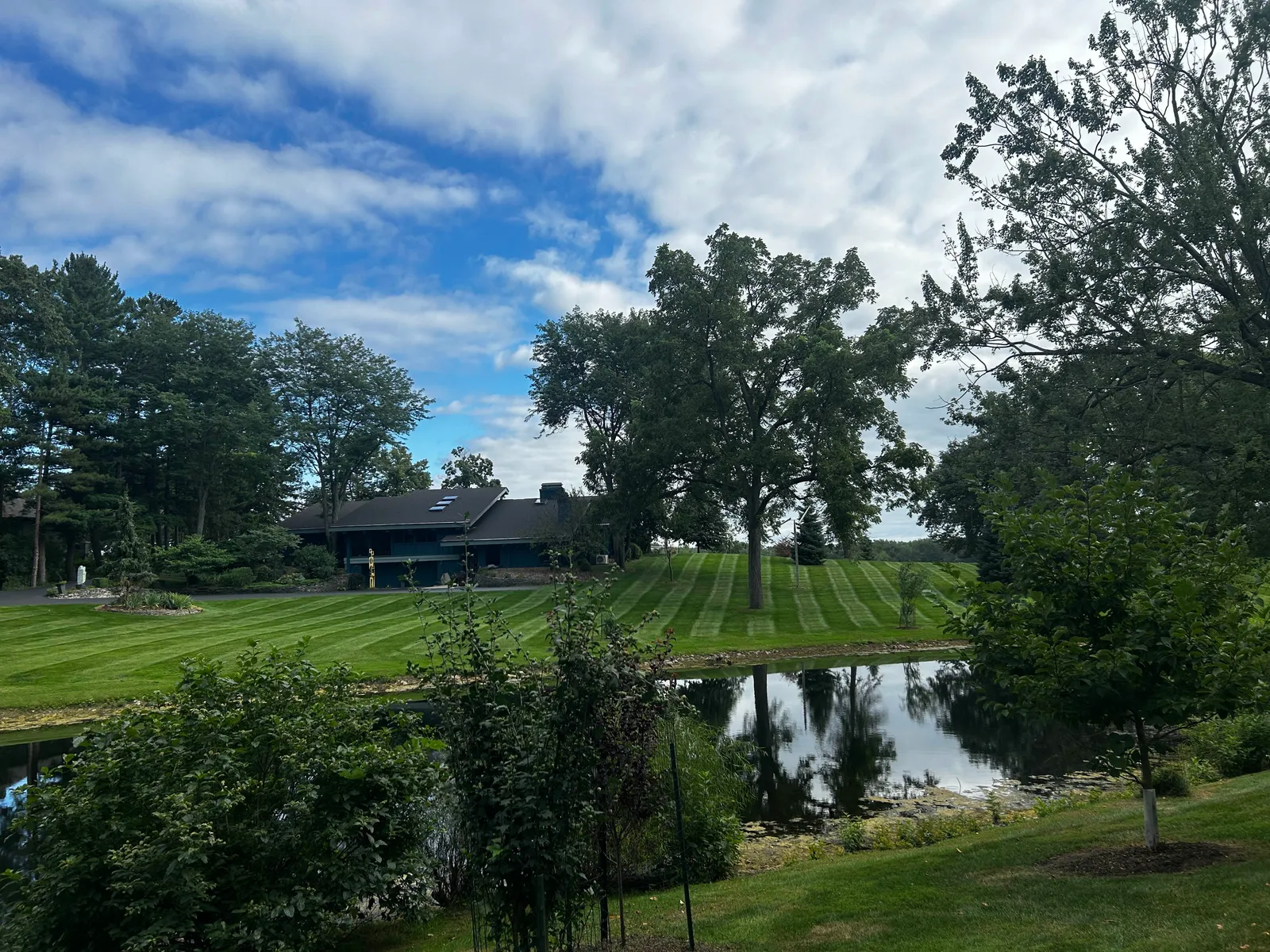 Greener Solutions Lawn & Landscape