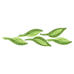 New Leaf Counseling logo