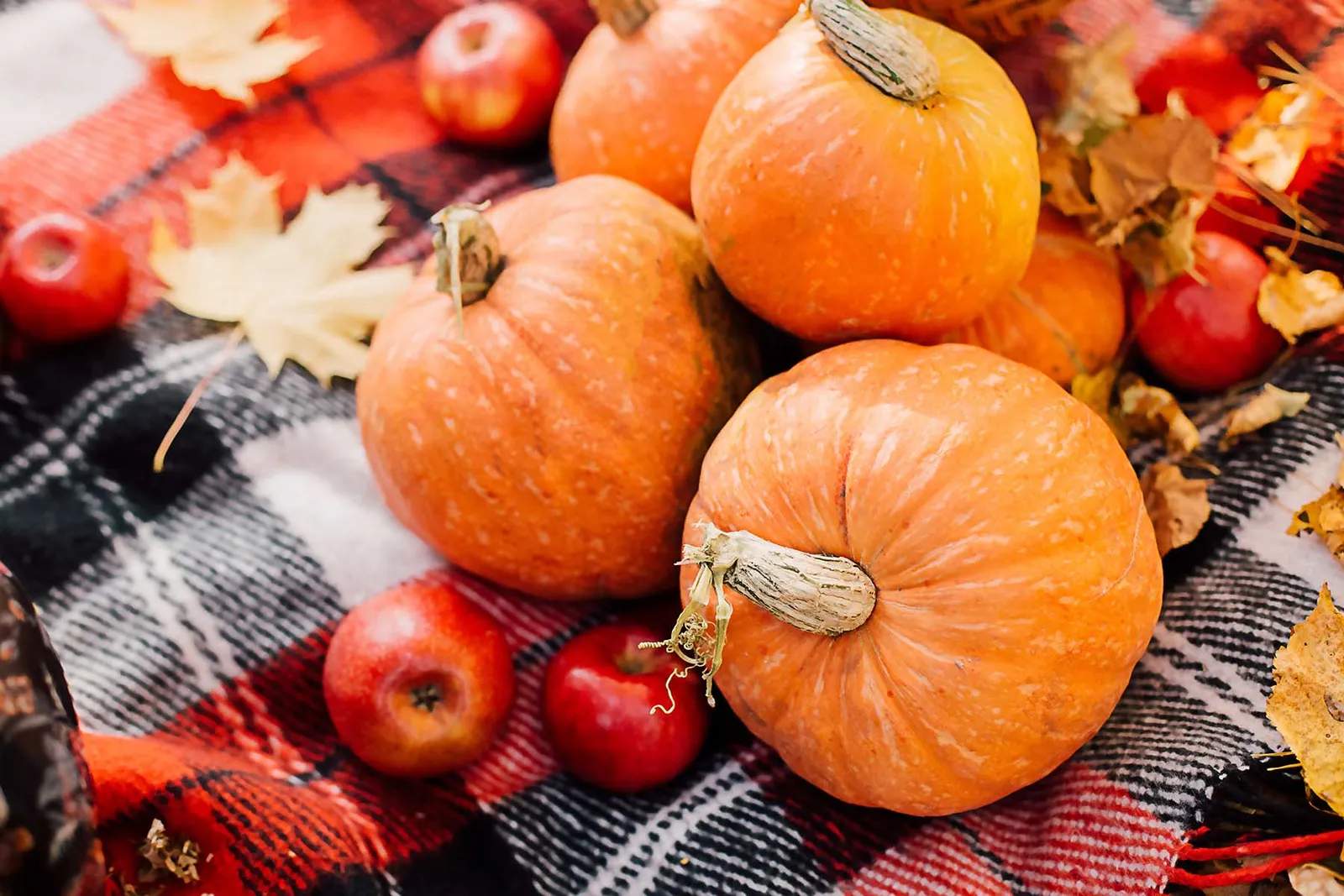 Ricker Hill Orchards