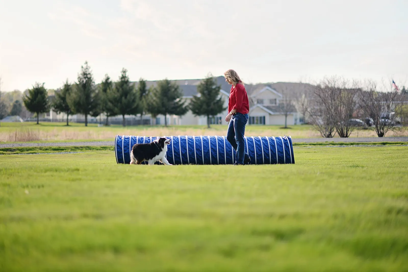 Carden Kennels