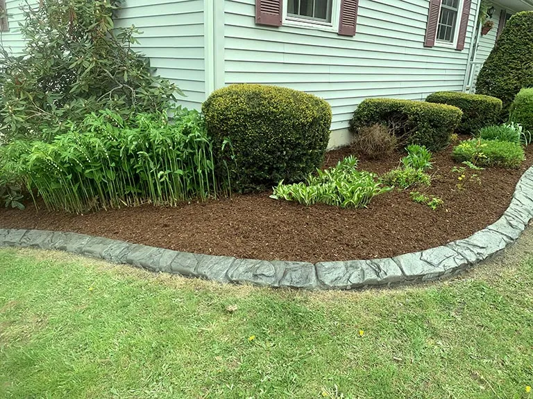 Decorative Concrete Edging