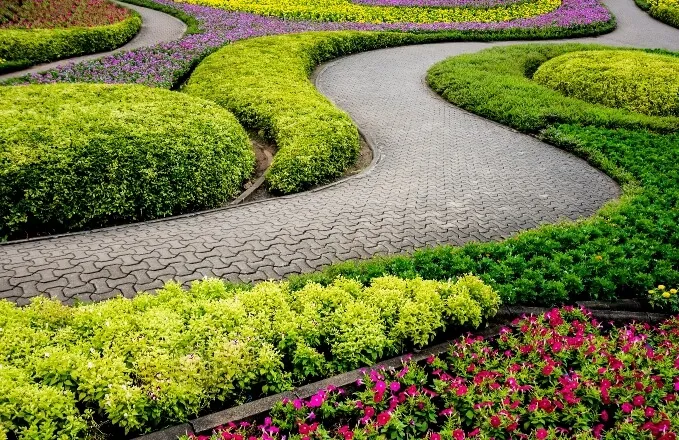Seasons Lawn and Landscaping