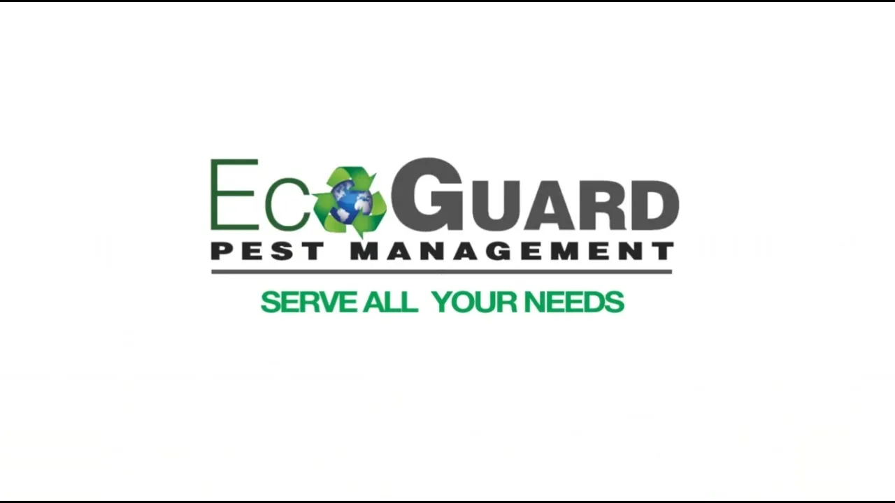 EcoGuard Pest Management