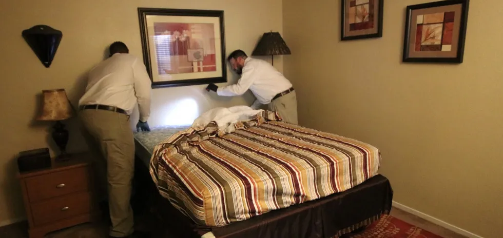 Pest Control Las Vegas