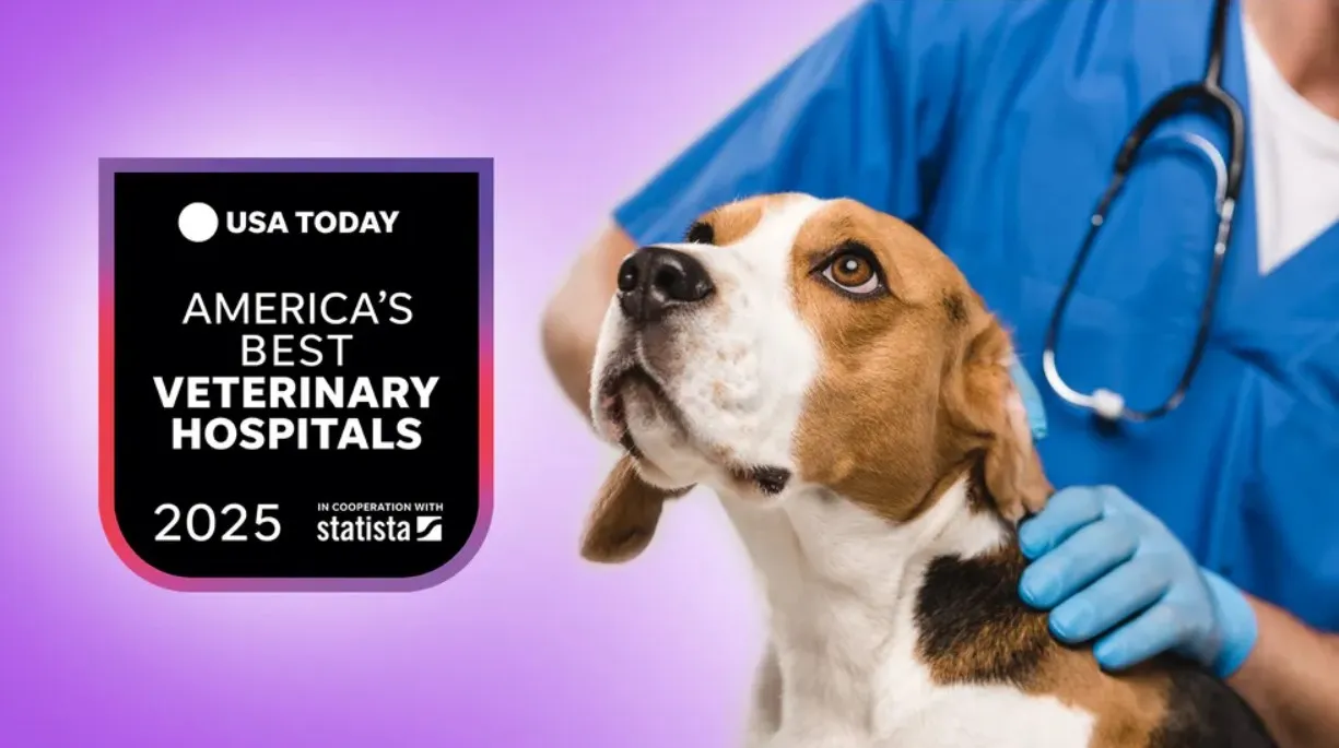 Harper Animal Hospital