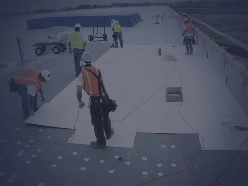 The Phoenix Roofers