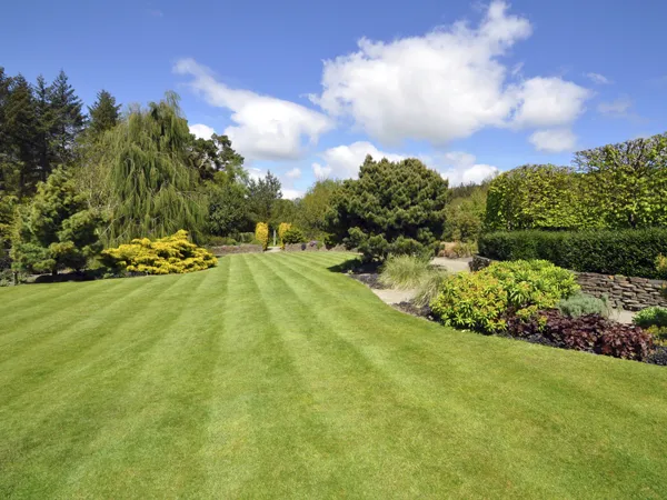 Advanced Lawn & Pest Control
