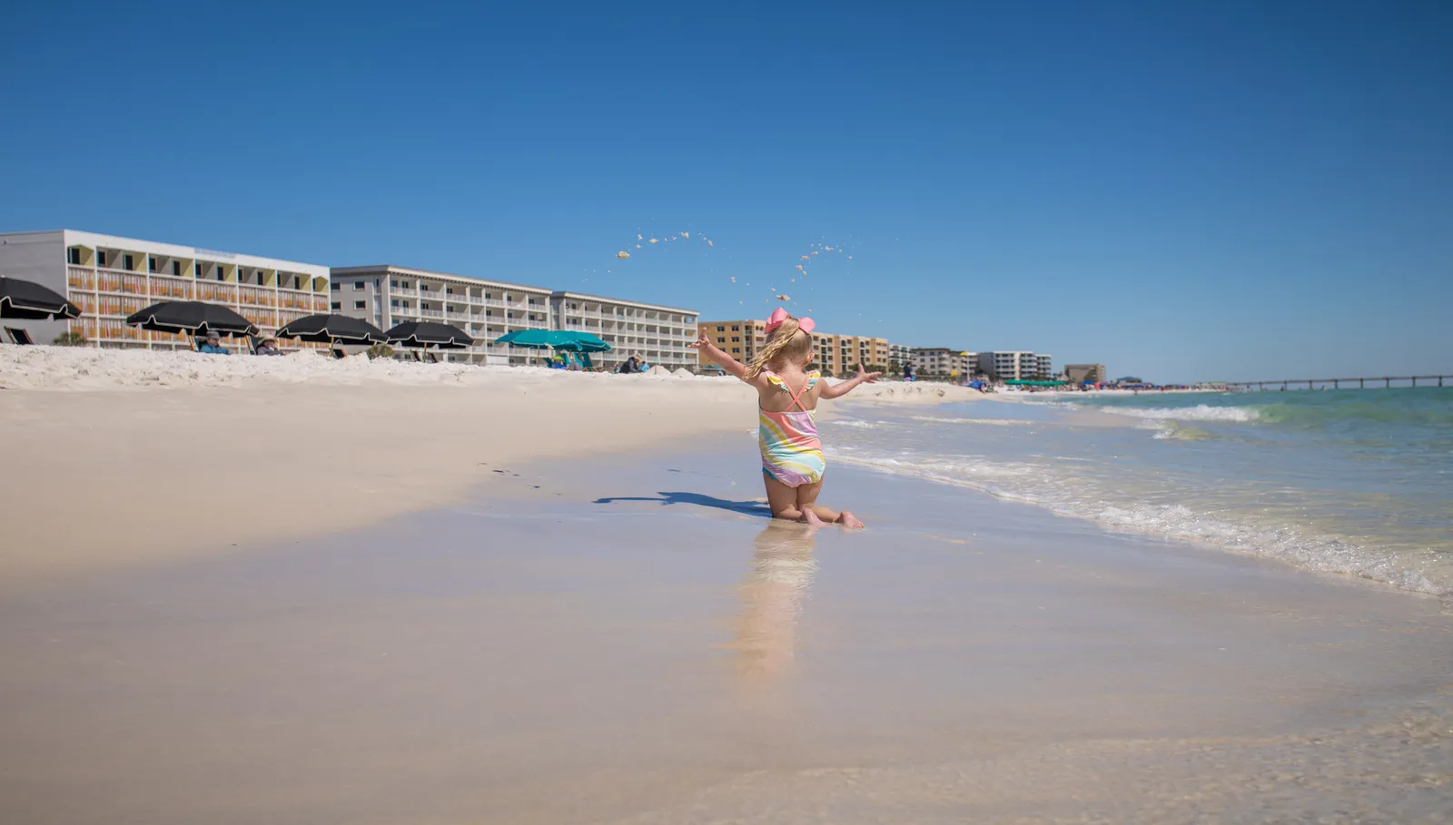Alicia J Hollis Realtor