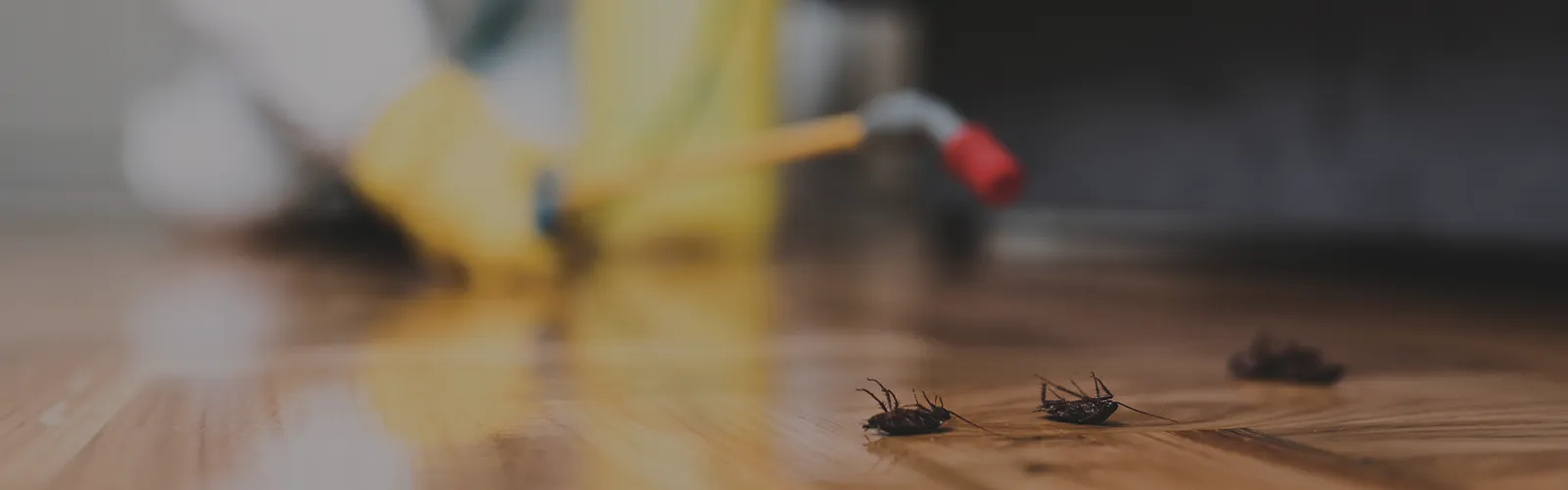 SouthWind Pest & Termite