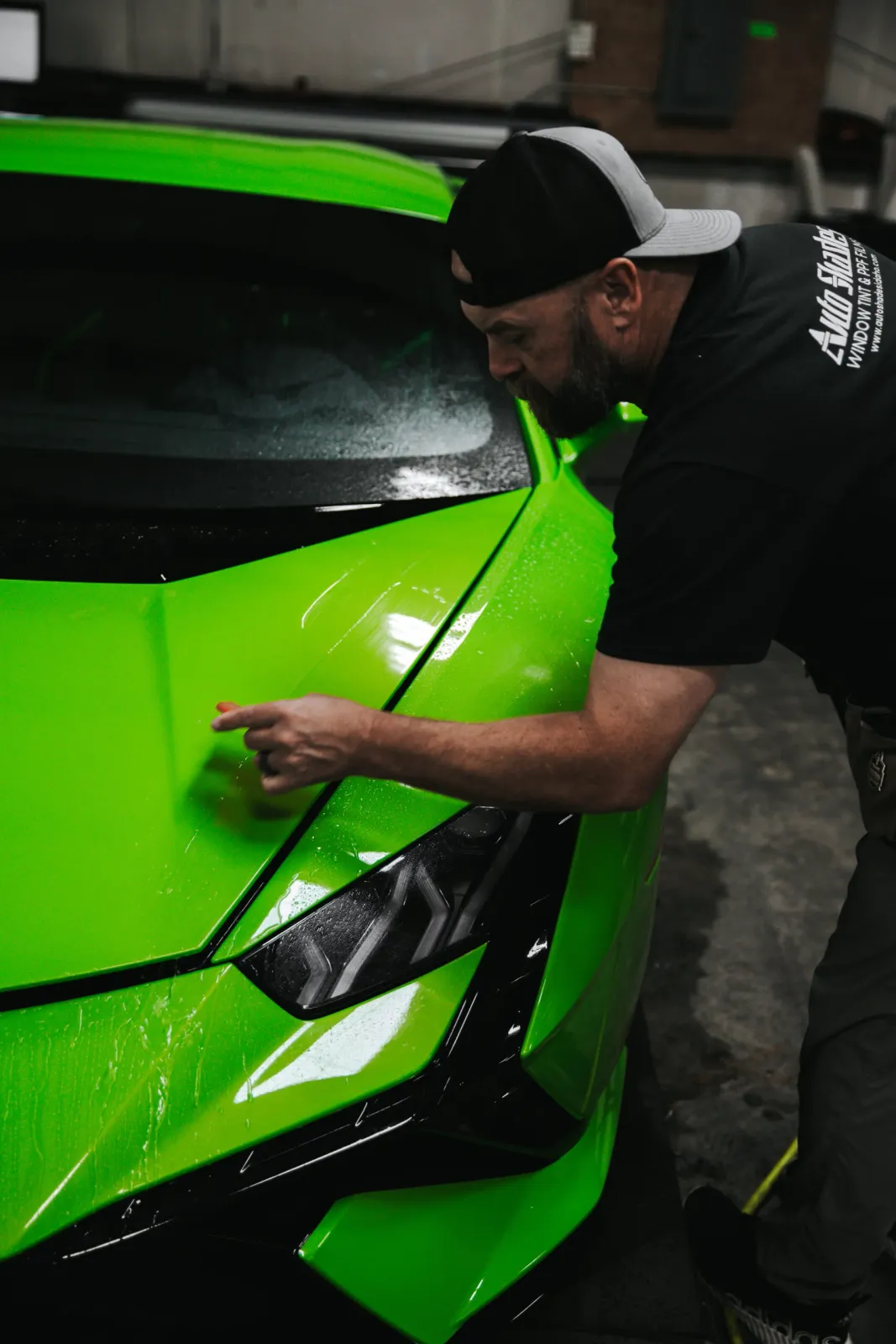 Auto Shades