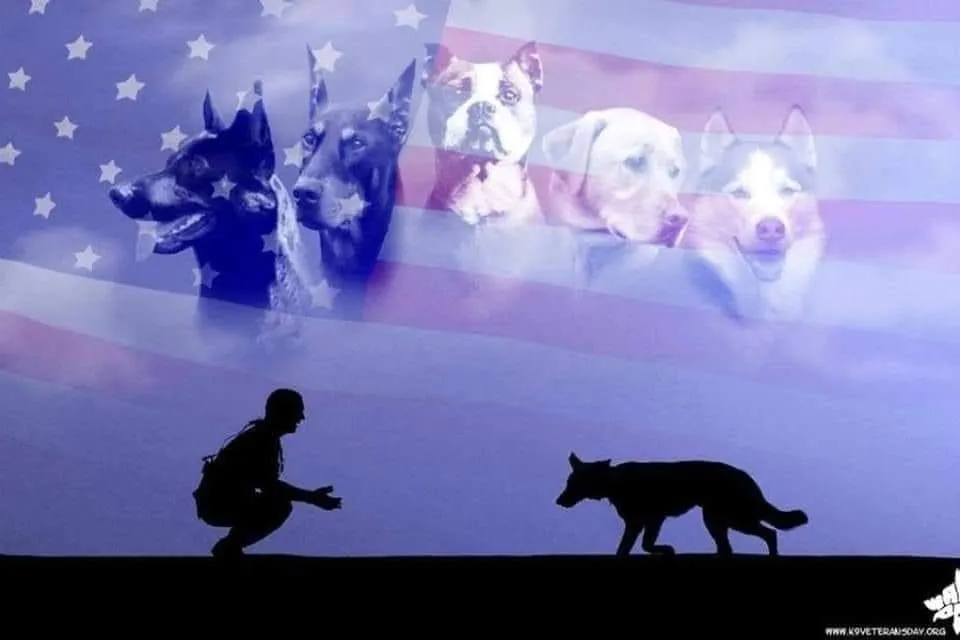 Guardian Paws Service Dogs