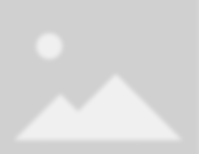 Mexico Auto Repair LLC logo