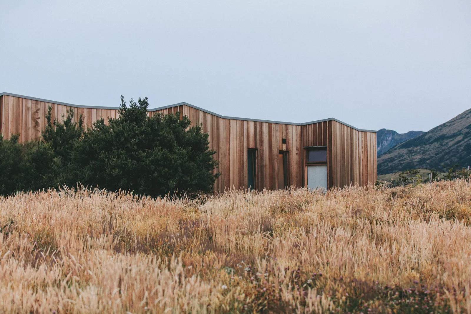 Country Barn Dog Kennel LLC