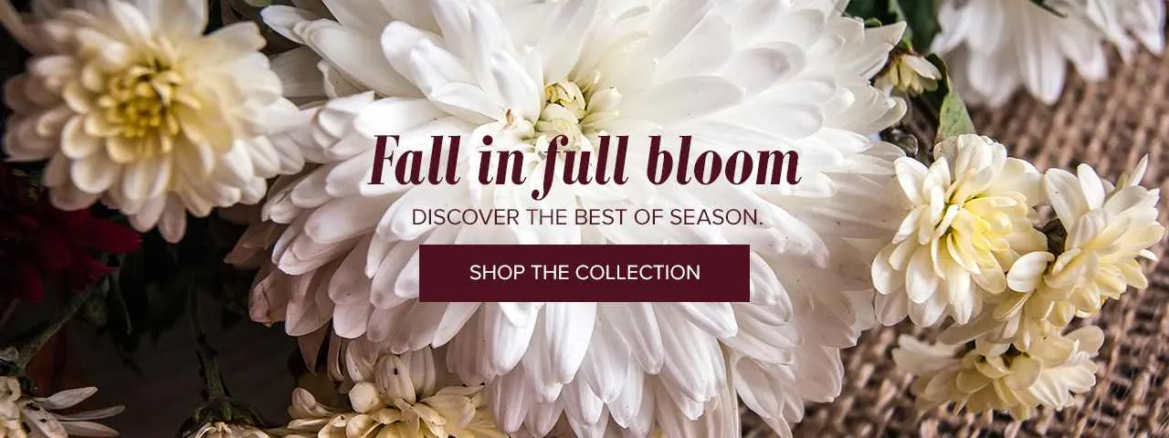 Buds Floral Studio