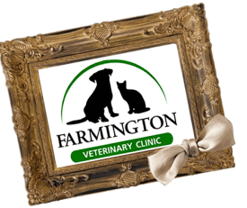 Farmington Veterinary Clinic logo
