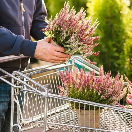 Logan's Garden Shop