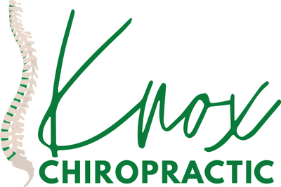 Chiropractor Augusta Knox Chiropractic logo