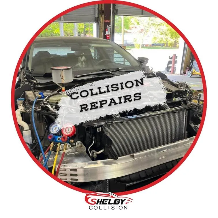 Shelby Collision