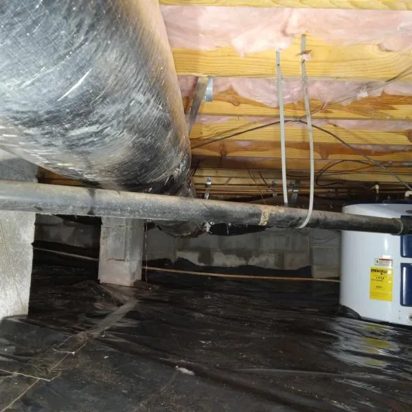 The CrawlSpace King
