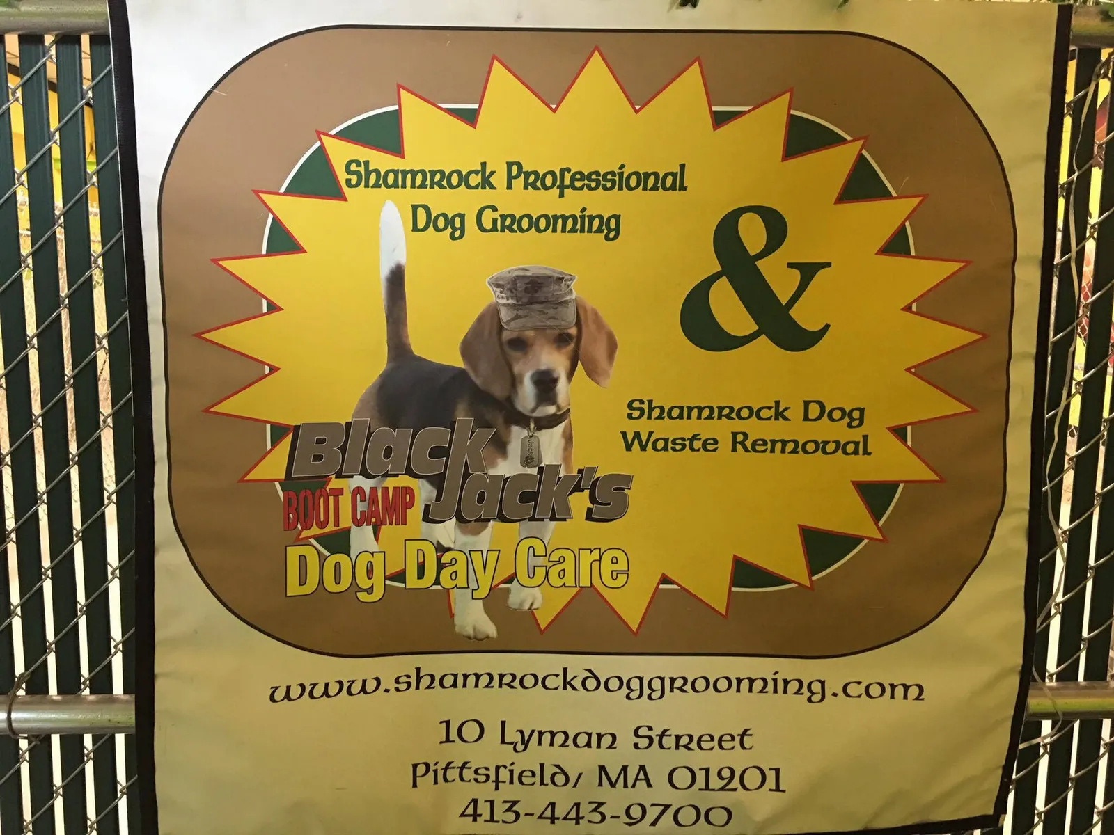 Shamrock Professional Dog Grooming & Dog Waste Removal