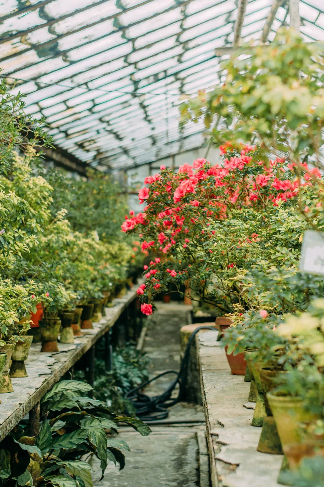 Fisher's Gardens